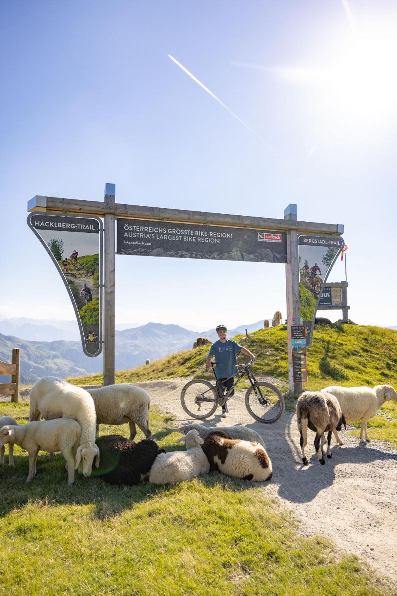 Apartments Landhaus Saalbach Dış mekan fotoğraf