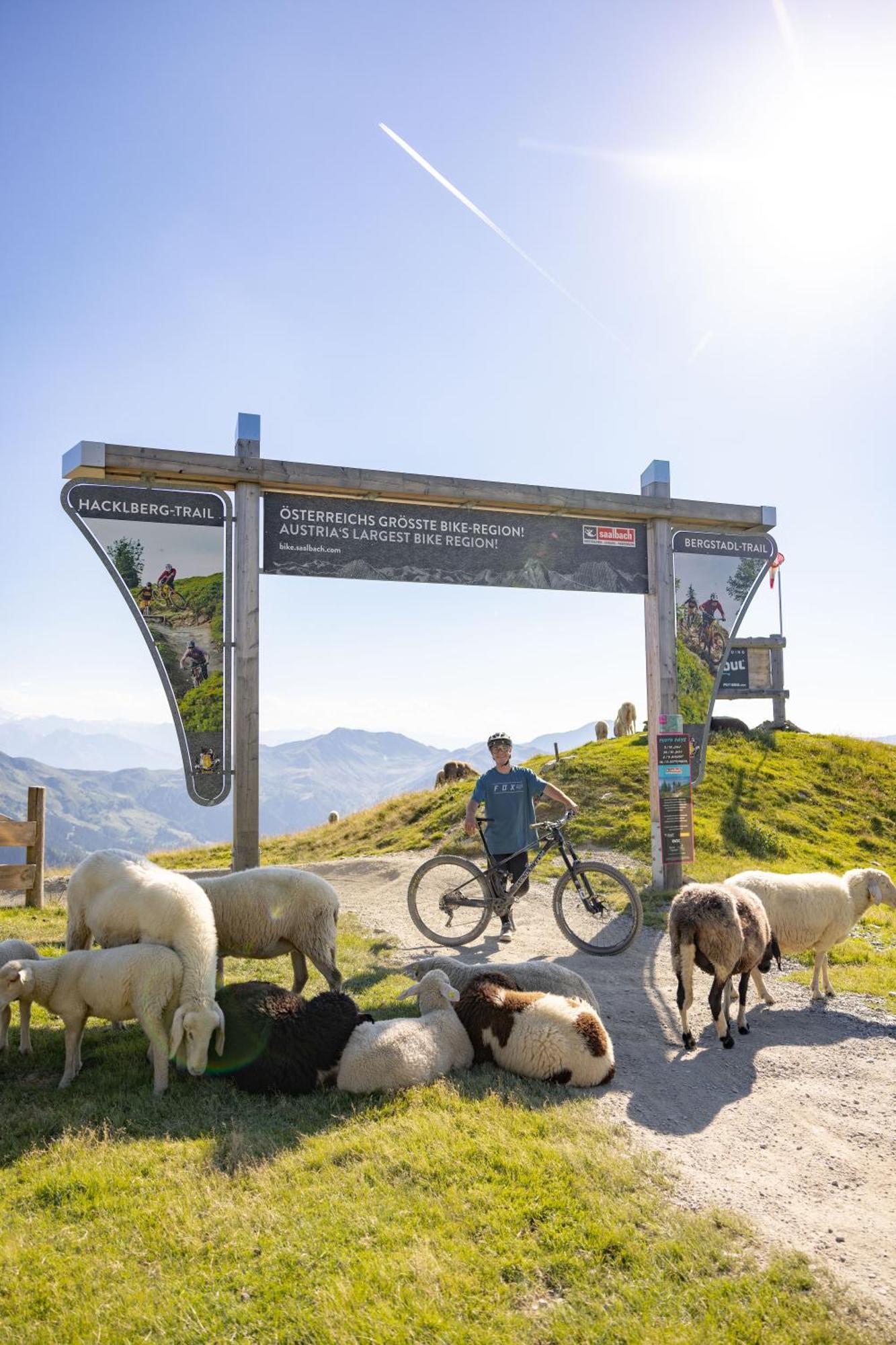 Landhaus Saalbach - Joker Card Included In Summer Dış mekan fotoğraf